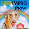 La Brigade du bonheur fait son show