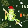 La Grenouille de Noël 