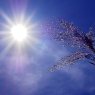 Où trouver un lieu frais ou climatisé à Narbonne ?